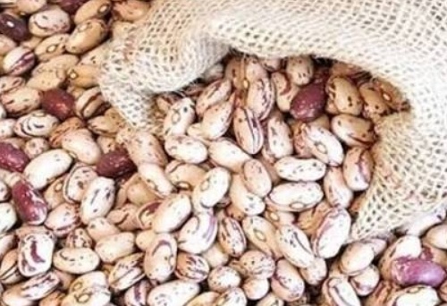 فروش لوبیا چیتی