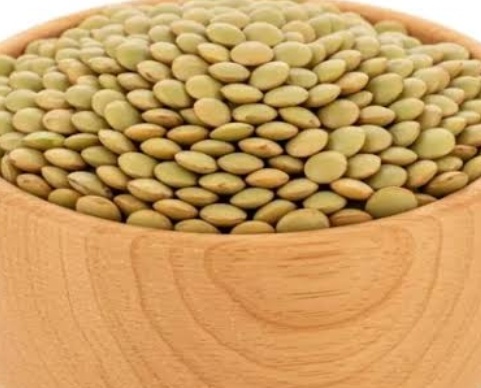 فروش عدس سبز