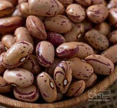 فروش لوبیا چیتی