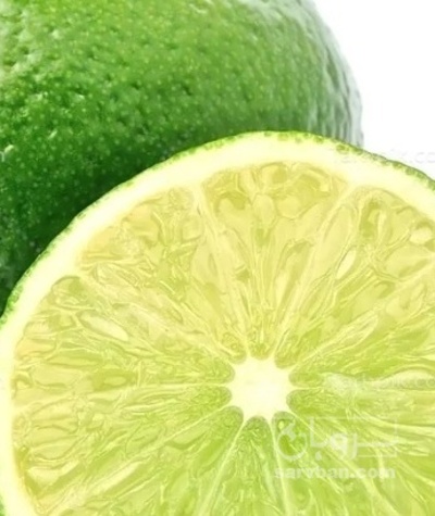 فروش لیمو ترش
