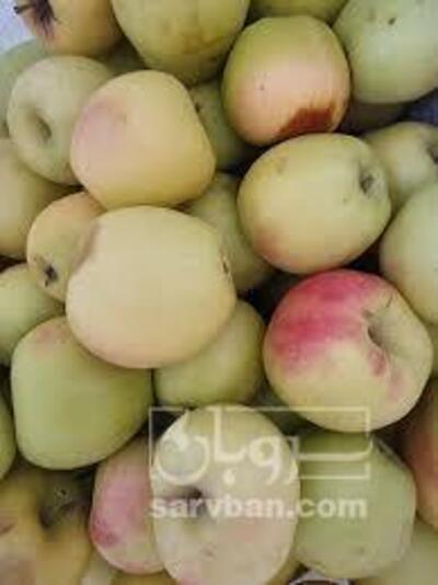 فروش سیب