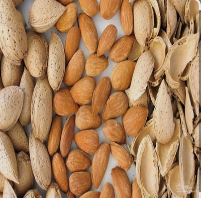 فروش بادام آذری