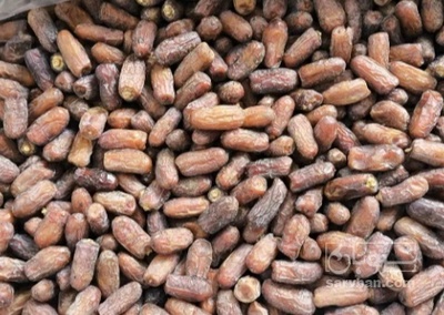 فروش خرما پیارم