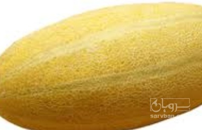 فروش خربزه