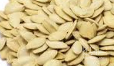 فروش تخمه  کدو بو داده