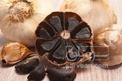 فروش سیرسیاه تخمیری