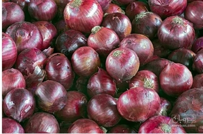 فروش پیازقرمز