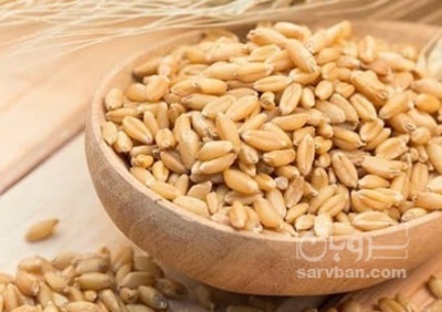 فروش گندم