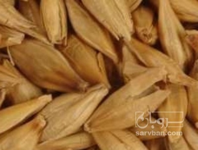 فروش جو