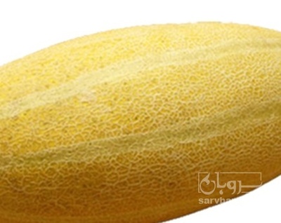 فروش خربزه
