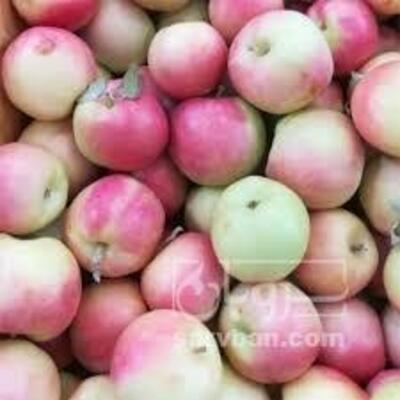 فروش سیب گلاب