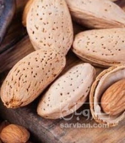 فروش بادام