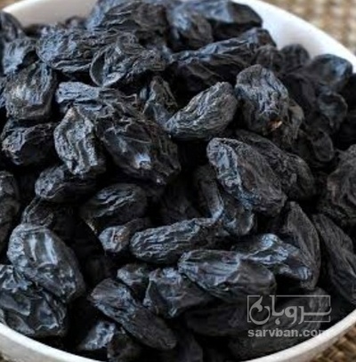 فروش مویز