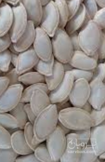 فروش تخمه  کدو بو داده