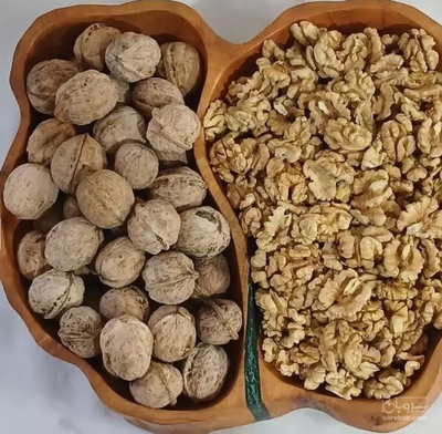 فروش گردو