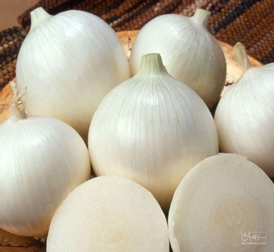 فروش پیازسفید برفی