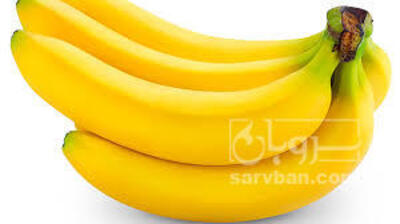 فروش موز