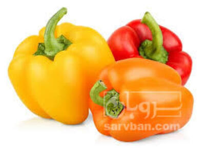 فروش فلفل دلمه ای رنگی