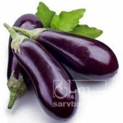 فروش بادمجان