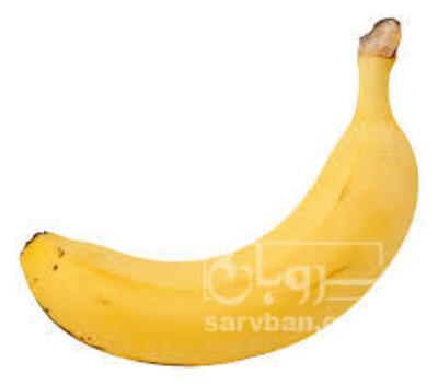 فروش موز