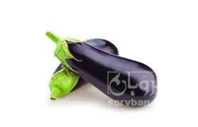 فروش بادمجان