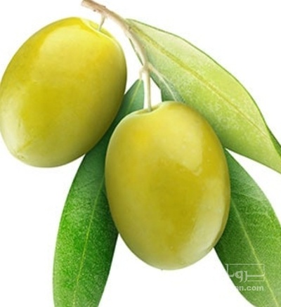 فروش زیتون زرده