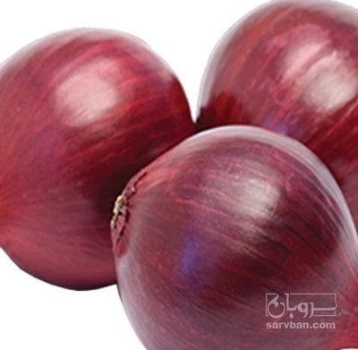 فروش پیاز قرمز