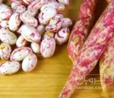 فروش لوبیا چیتی تر