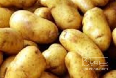 فروش سیب زمینی