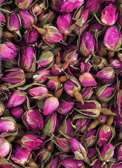 فروش غنچه گل محمدی (گیاه‌ دارویی)