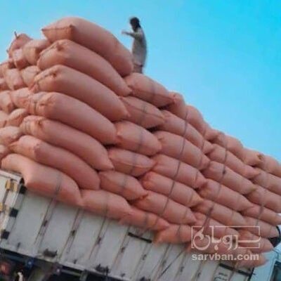 فروش کاه و کلش گندم