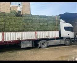 فروش یونجه