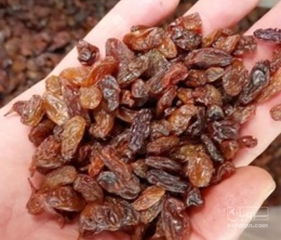 فروش کشمش آبگیری