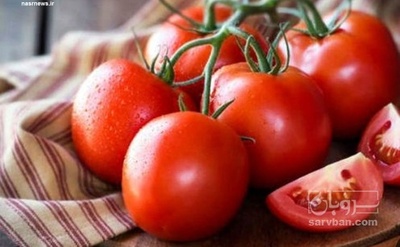 فروش گوجه فرنگی