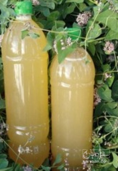 فروش آبغوره