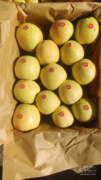 فروش سیب زرد