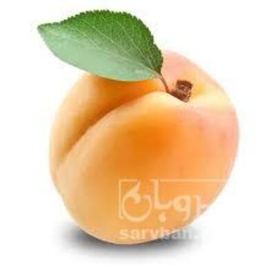فروش زردآلو