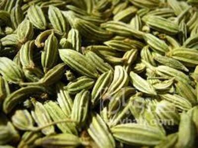 فروش زیره (گیاه‌ دارویی)