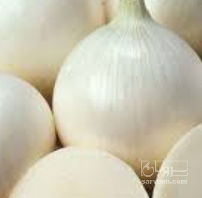 فروش پیاز سفید