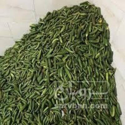 فروش خیار خیار شور