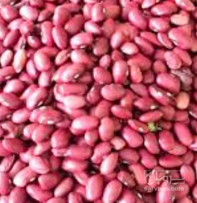 فروش لوبیا قرمز