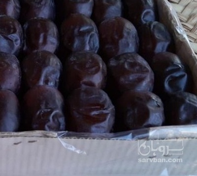 فروش خرما مضافتی