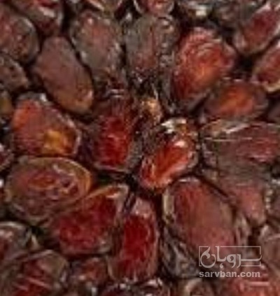 فروش خرما کبکاب