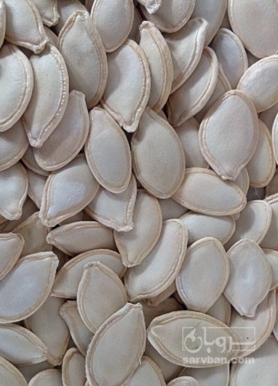 فروش تخمه  کدو بو داده