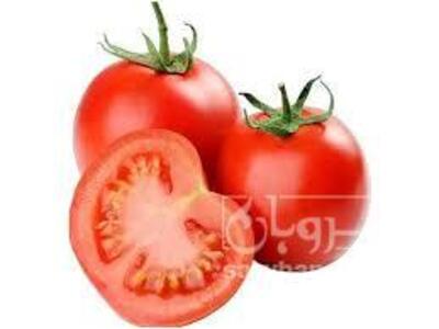 فروش گوجه فرنگی