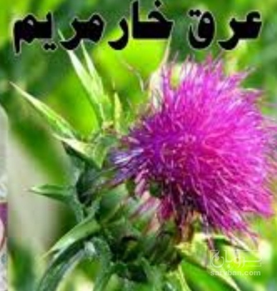 فروش عرق خارمریم