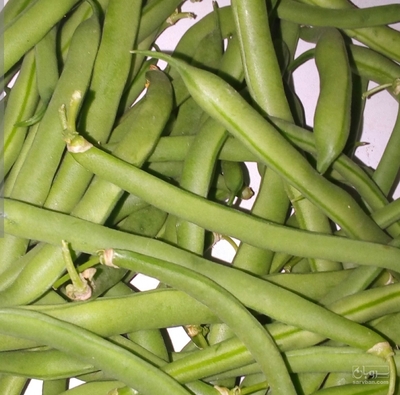 فروش لوبیا سبز