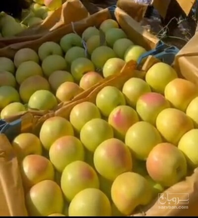 فروش سیب