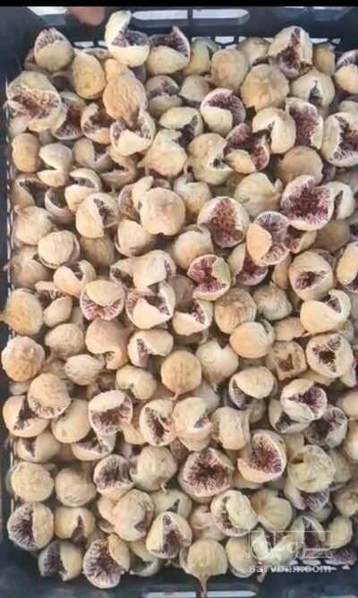 فروش انجیر خشک
