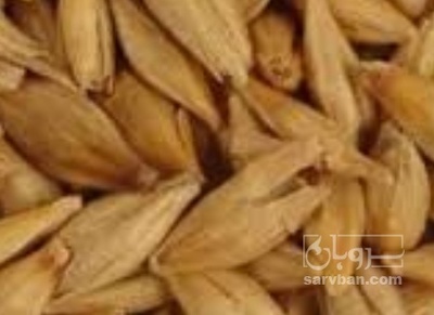 فروش جو